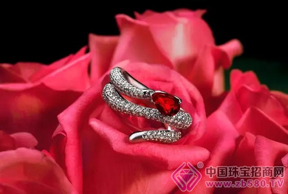 ç‘žæ¢µæ— çƒ§çº¢å®çŸ³snakeç³»åˆ—