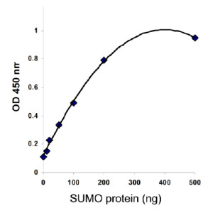 SumoåŒ–è›‹ç™½å®šé‡è¯•å‰‚ç›’â€”å°æ³›ç´ åŒ–ç ”ç©¶åˆ©å™¨