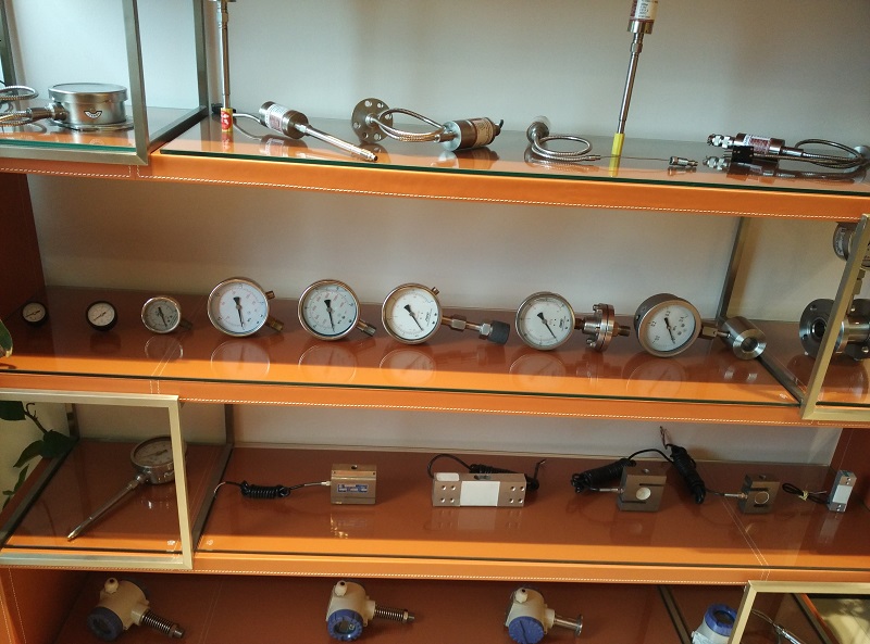 Pressure gauge model