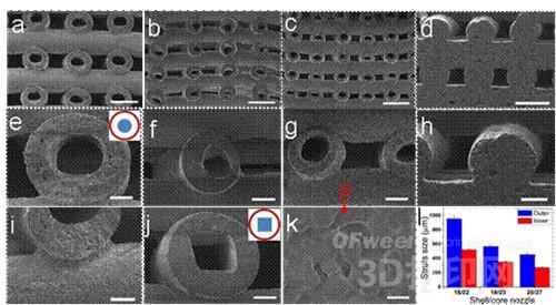 China's 3D printing biomedical materials research has made new breakthroughs