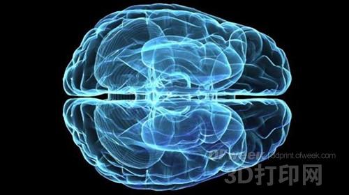 New breakthrough in biomedicine: scientists first brainprint 3D brain tissue