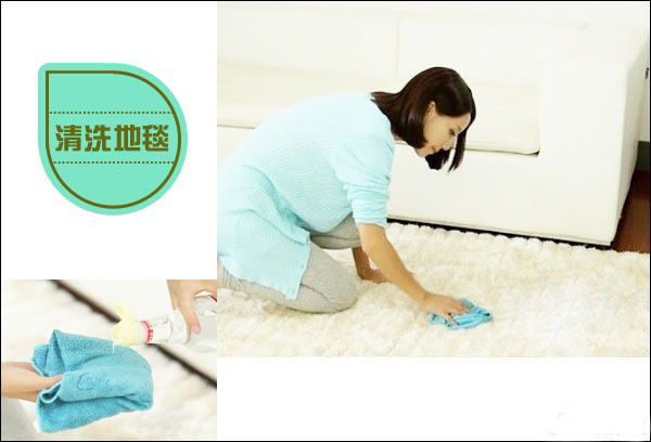 Carpet cleaning 地毯清洗