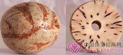 æ‘©å°¼å­