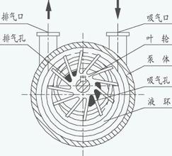 Water ring vacuum pump working principle