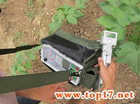 Plant transpiration rate tester