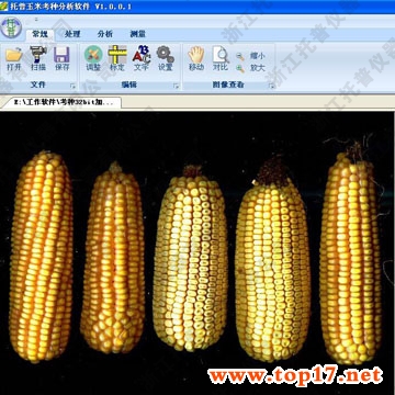 Corn test system