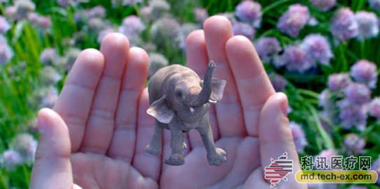 Magic leap