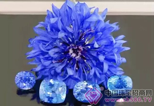 è“å®çŸ³