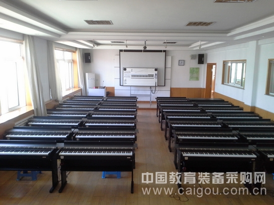Long Yu Music Classroom Music Theory and Basic Education Solutions