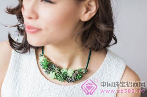 æ¤ç‰©ç å®