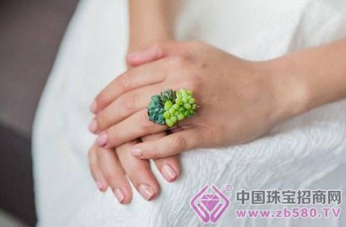 æ¤ç‰©ç å®