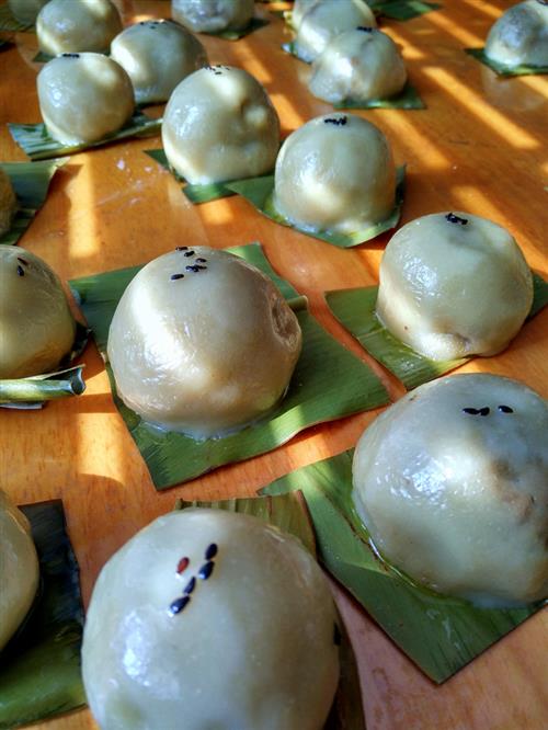 è’¿å­ç²‘ç²‘