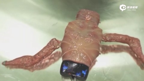 The artist conceived 3D printing of the human body: the introduction video was a bit horrified