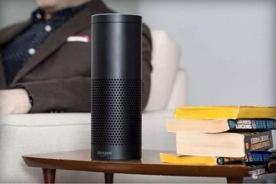 Amazon Echo new skills: seeing bears and children at home