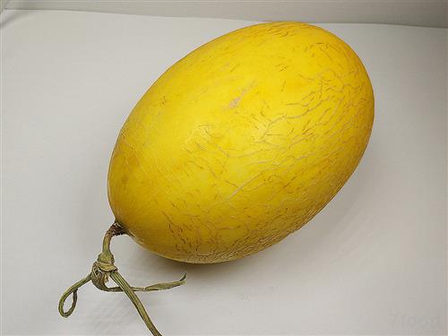 ç”œç“œ