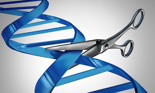 New applications of CRISPR technology can quickly identify genetic variants