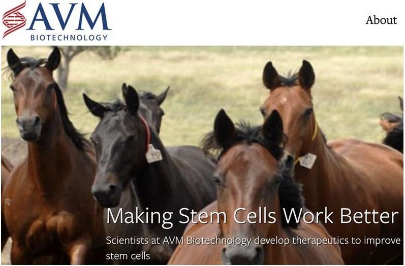 AVM Biotech financing for stem cell delivery technology development