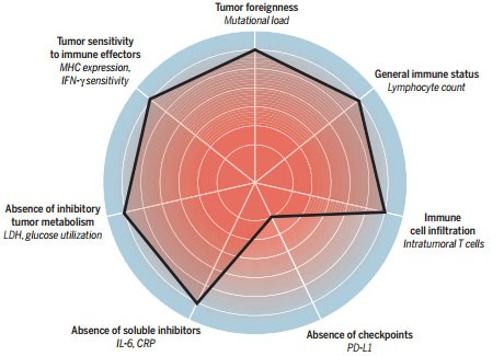 "Seven Key Factors" in Cancer Immunotherapy