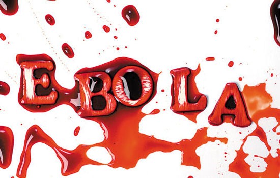 Chinese scientists successfully isolated anti-Ebola antibodies
