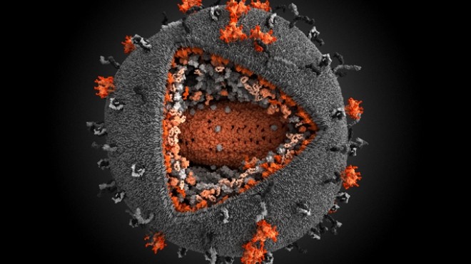 Successful removal of HIV DNA fragments using CRISPR/Cas9