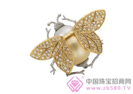 ç å®ä½©æˆ´è¦æœ‰åº