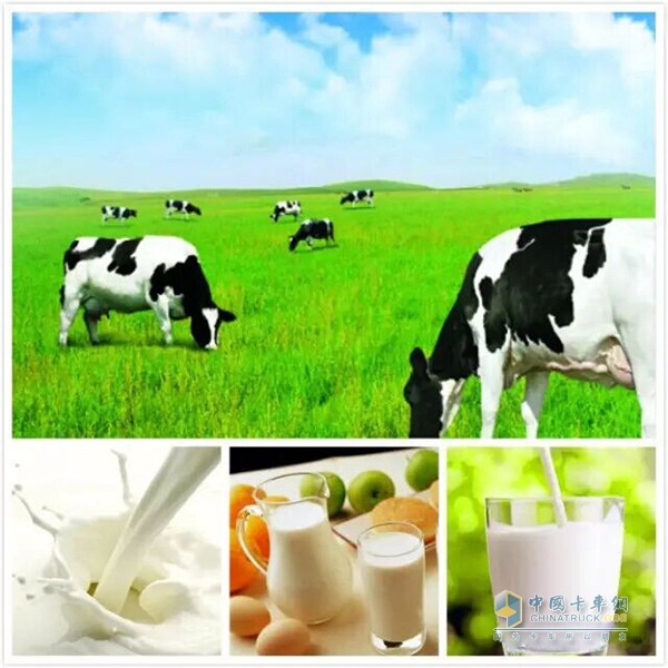 Cold chain dairy market