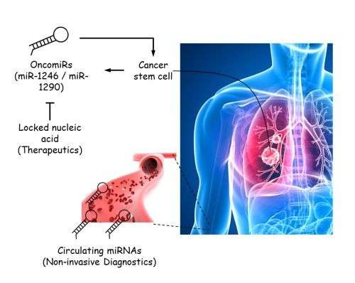 Singapore research team found oncomiRs that monitor lung cancer and treat new targets