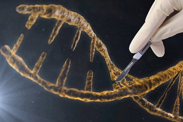 Chinese scientists use CRISPR to successfully repair Î²-thalassemia-deficient genes