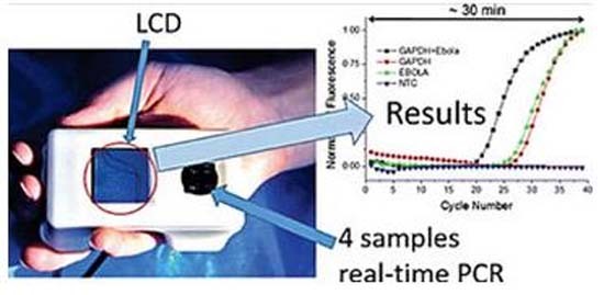 Palm-sized medical devices can quickly detect Ebola