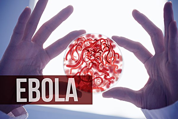 Palm-sized medical devices can quickly detect Ebola