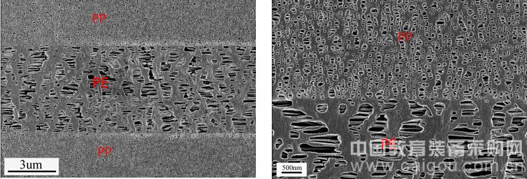 New scanning electron microscope sample preparation system solves polishing troubles