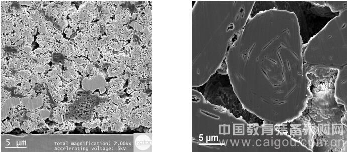 New scanning electron microscope sample preparation system solves polishing troubles