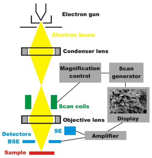 Analysis of main performance parameters of scanning electron microscope