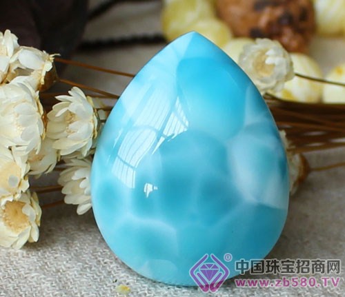 æµ·çº¹çŸ³