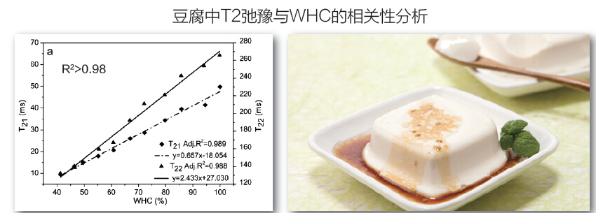 Nuclear magnetic resonance meat food water holding research solution