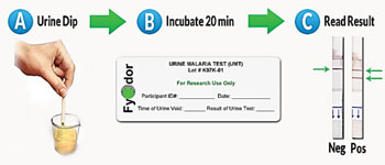 Nigerian scientists have developed a new urine test strip for the diagnosis of malaria