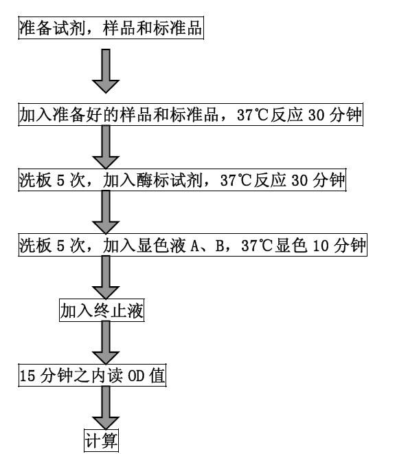 Guinea pig complement factor B (CFB) ELISA kit