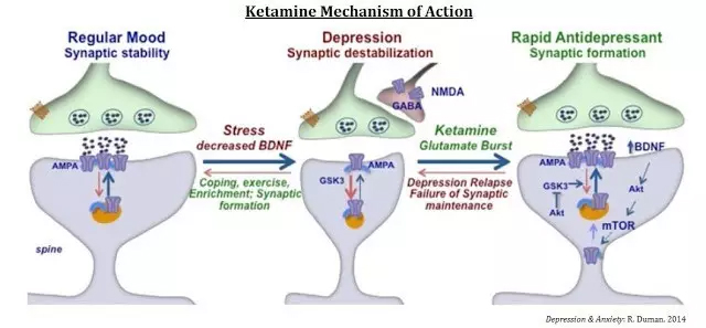 Mechanism of action of Esketamine (Source: Depression & Anxiety)