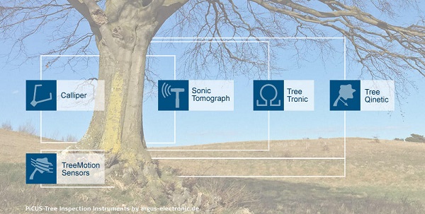 Tree detection method and application of Argus tree detection technology