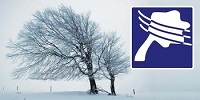 Tree detection method and application of Argus tree detection technology