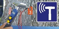 Tree detection method and application of Argus tree detection technology