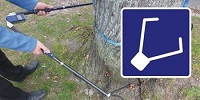 Tree detection method and application of Argus tree detection technology