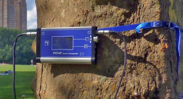Tree detection method and application of Argus tree detection technology