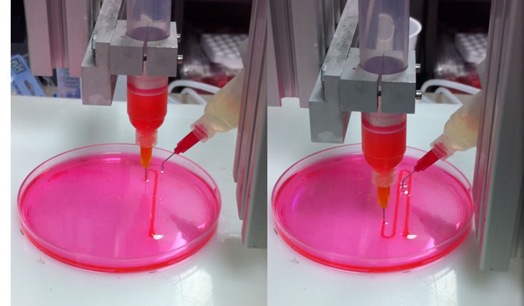 Combining change and constant balance: changing biomedical 3D printing