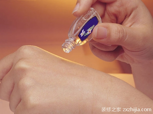 å®¶é‡Œæœ‰è‡­è™«æ€Žä¹ˆåŠž