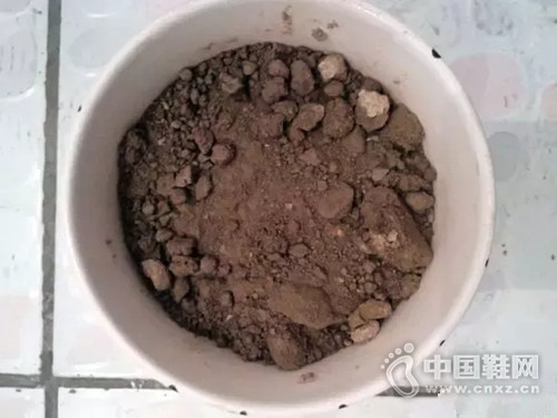 æ—§éž‹å­ç•™ç€ç¢äº‹æ‰”äº†ä¸èˆï¼Œä»Šå¤©ç«Ÿç„¶å¼€èŠ±äº†ï¼