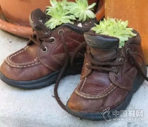 æ—§éž‹å­ç•™ç€ç¢äº‹æ‰”äº†ä¸èˆï¼Œä»Šå¤©ç«Ÿç„¶å¼€èŠ±äº†ï¼