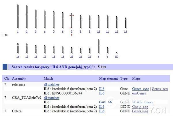 Use the Map viewer to find gene sequences and mRNA sequences