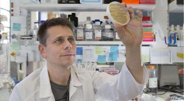 Scientists discover key enzymes for DNA repair