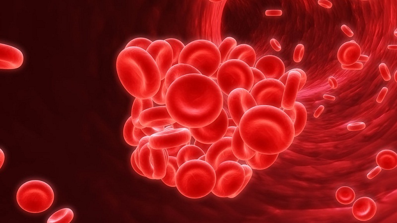 Chinese scientists first discovered that new probe materials can detect anemia